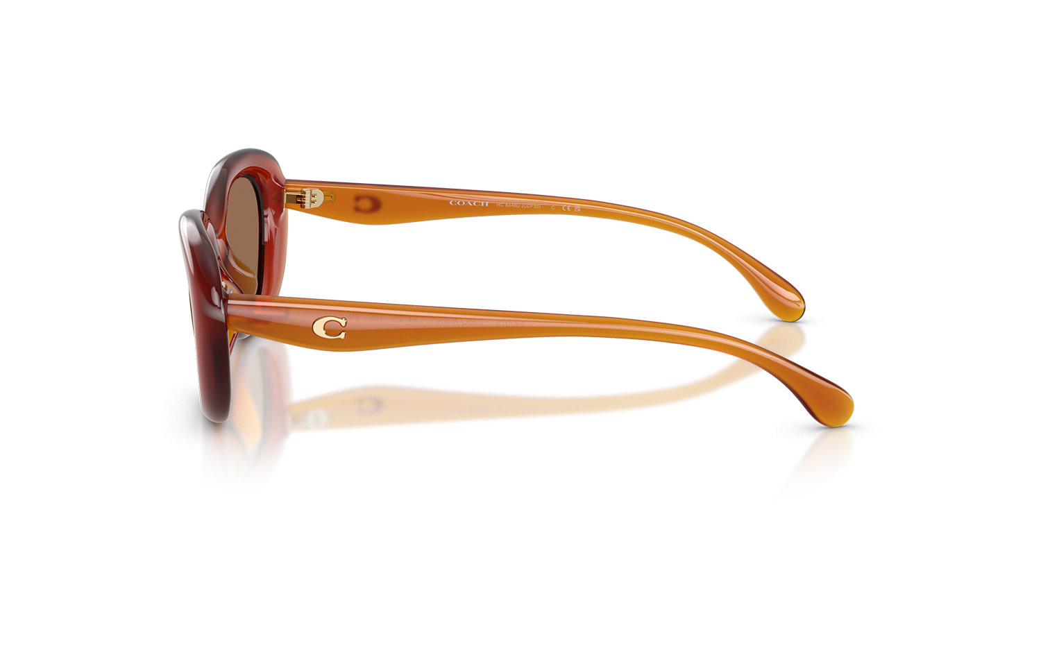 Gallery image for /media/thumbs/100x62.5/media/product_images/Coach-Sunglasses-HC8448U-593073-Dfw100fh62.5.png
