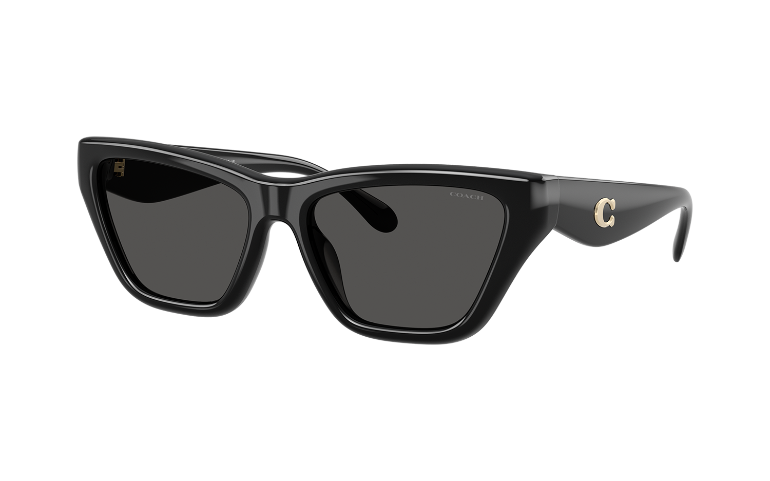 Gallery image for /media/thumbs/100x62.5/media/product_images/Coach-Sunglasses-HC8449U-500287-Afw100fh62.5.png