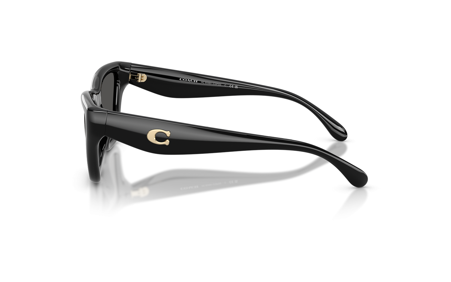 Gallery image for /media/thumbs/100x62.5/media/product_images/Coach-Sunglasses-HC8449U-500287-Dfw100fh62.5.png
