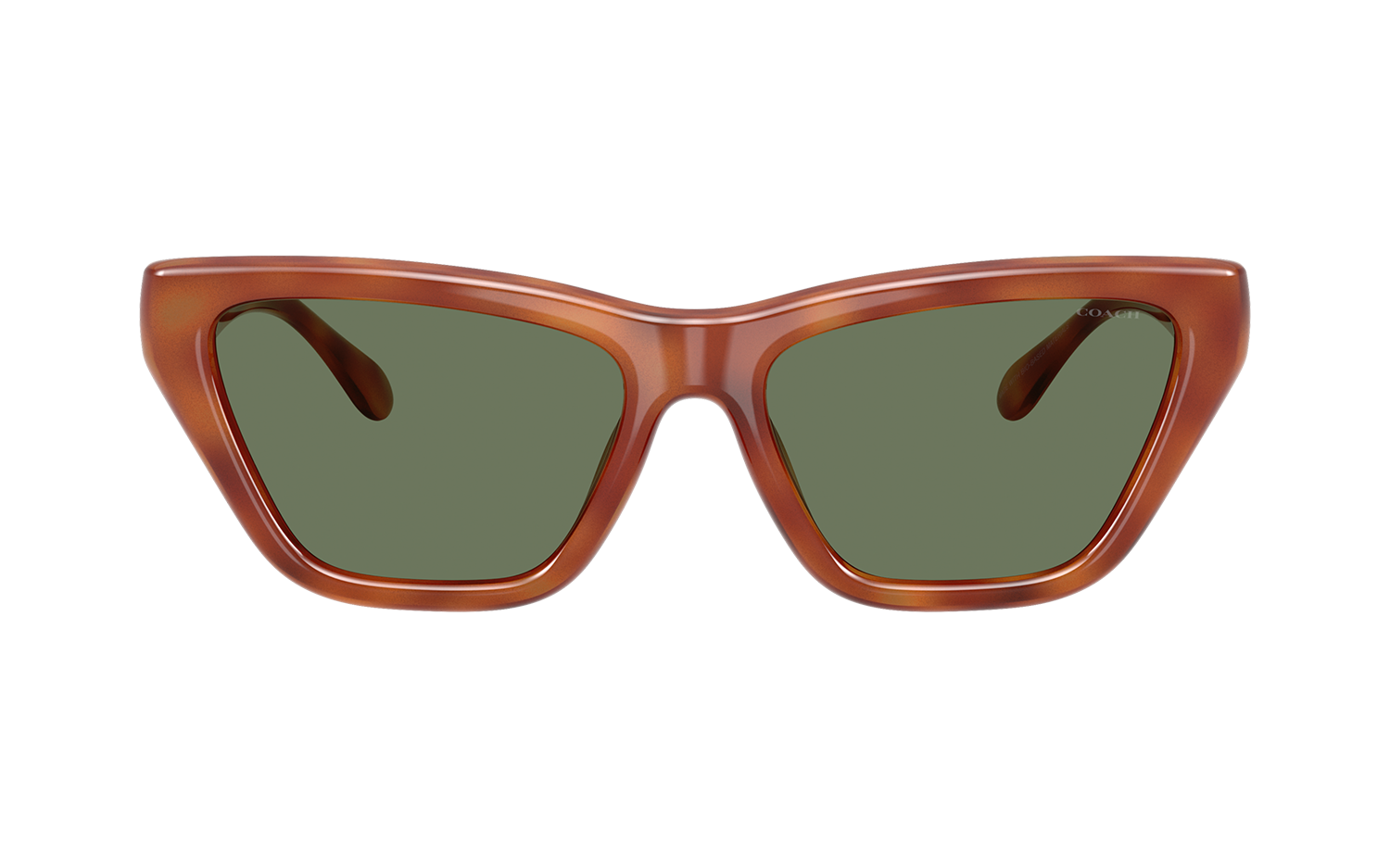 Gallery image for /media/thumbs/100x62.5/media/product_images/Coach-Sunglasses-HC8449U-577482-Bfw100fh62.5.png