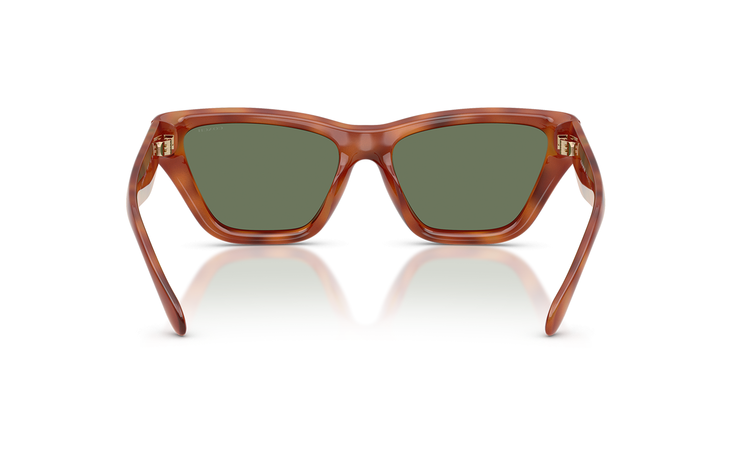 Gallery image for /media/thumbs/100x62.5/media/product_images/Coach-Sunglasses-HC8449U-577482-Cfw100fh62.5.png