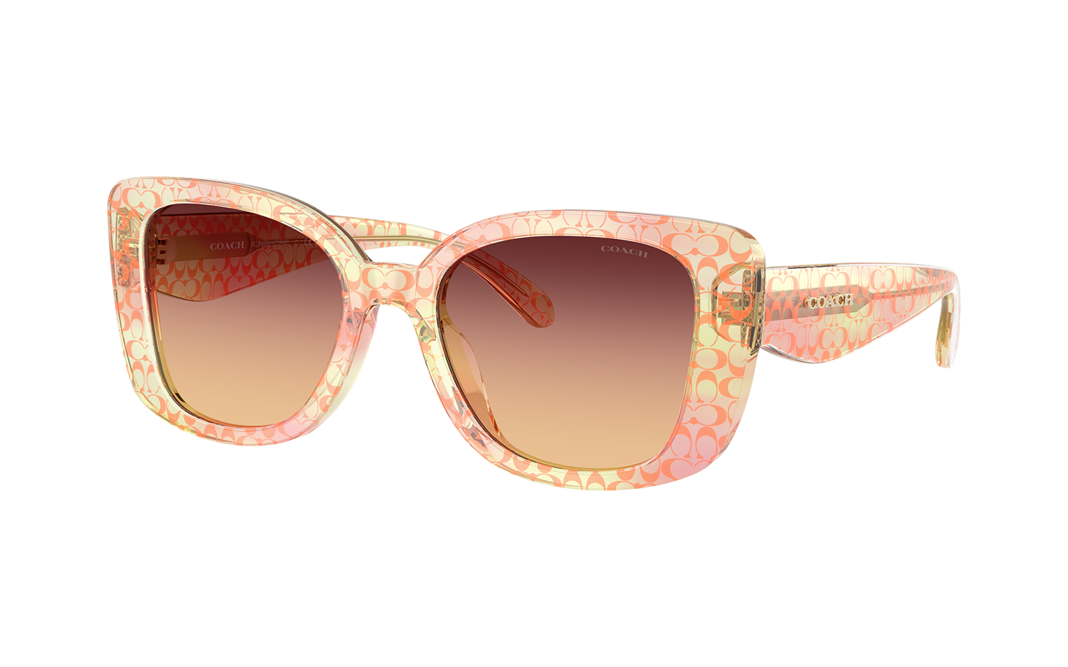 Gallery image for /media/thumbs/100x62.5/media/product_images/Coach-Sunglasses-HC8450U-5934W8-Afw100fh62.5.png