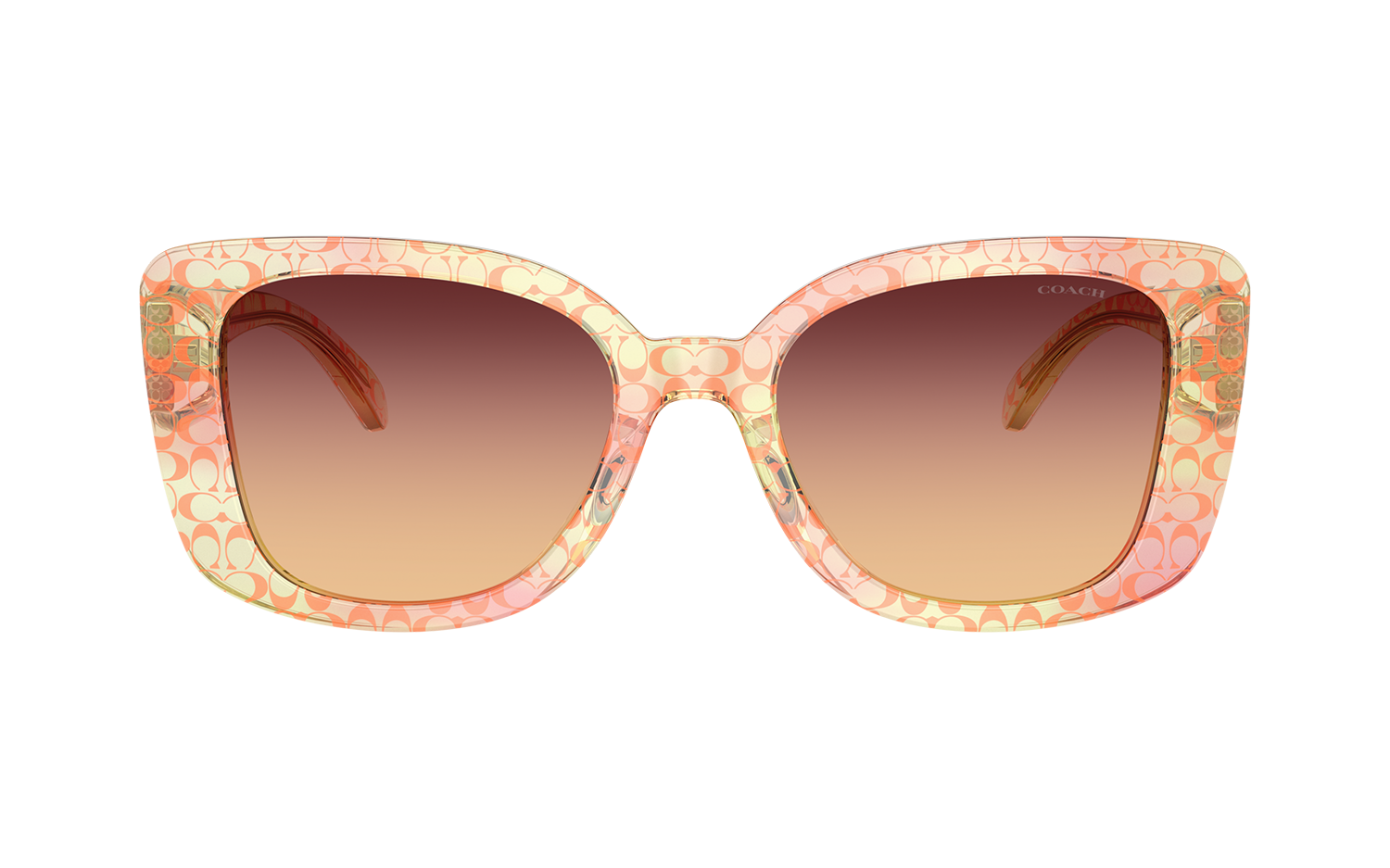 Gallery image for /media/thumbs/100x62.5/media/product_images/Coach-Sunglasses-HC8450U-5934W8-Bfw100fh62.5.png