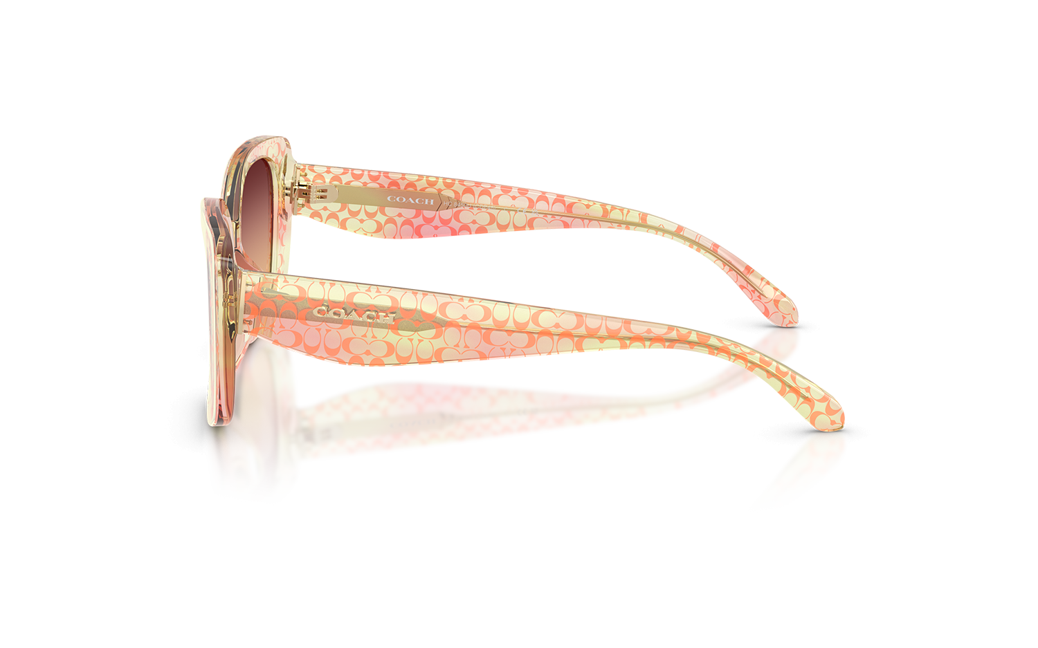 Gallery image for /media/thumbs/100x62.5/media/product_images/Coach-Sunglasses-HC8450U-5934W8-Dfw100fh62.5.png