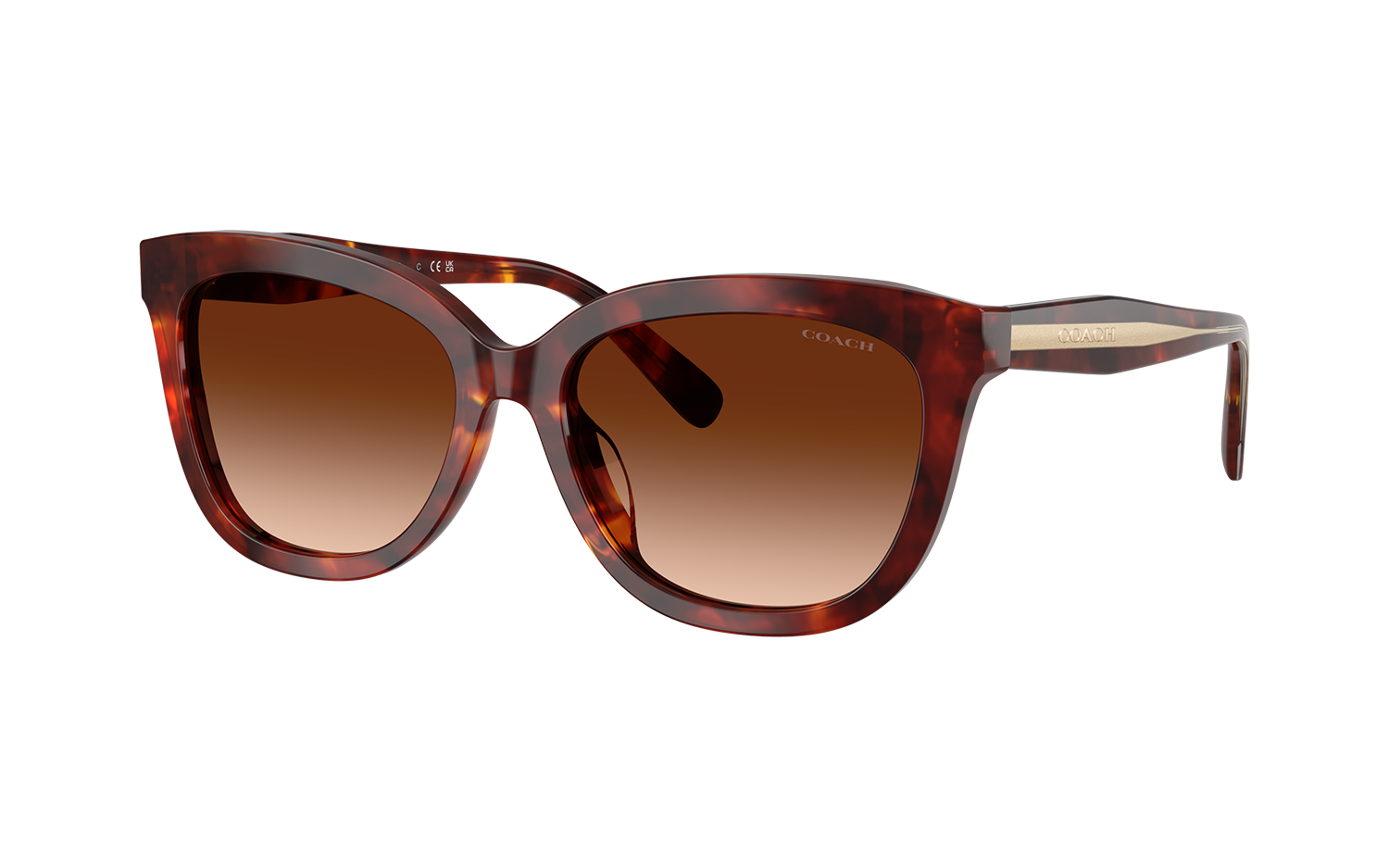 Gallery image for /media/thumbs/100x62.5/media/product_images/Coach-Sunglasses-HC8453U-593874-Afw100fh62.5.png