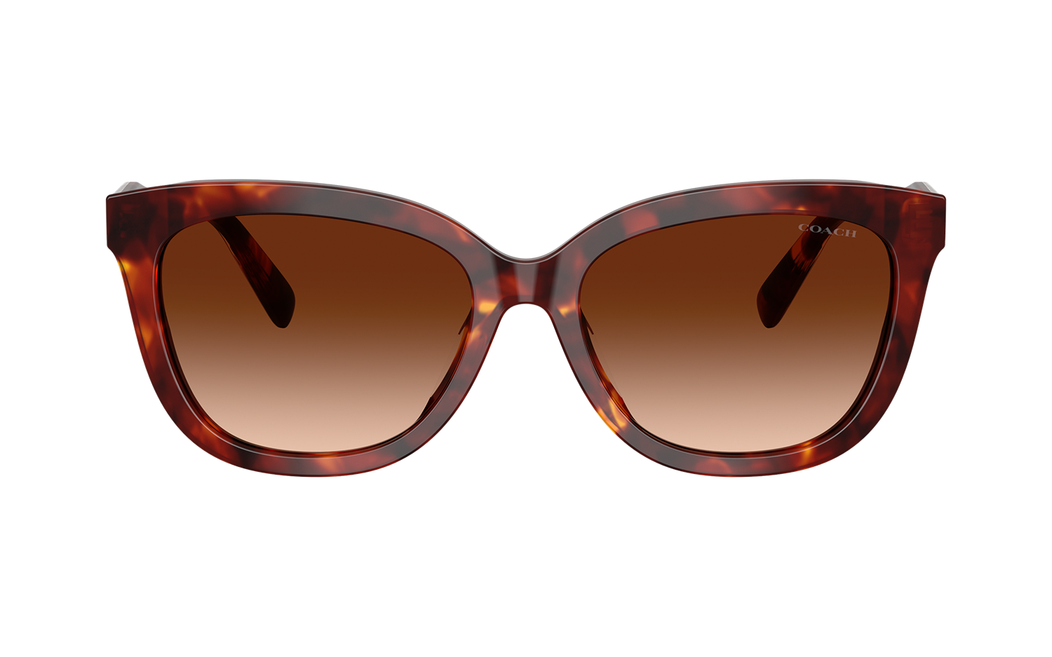 Gallery image for /media/thumbs/100x62.5/media/product_images/Coach-Sunglasses-HC8453U-593874-Bfw100fh62.5.png