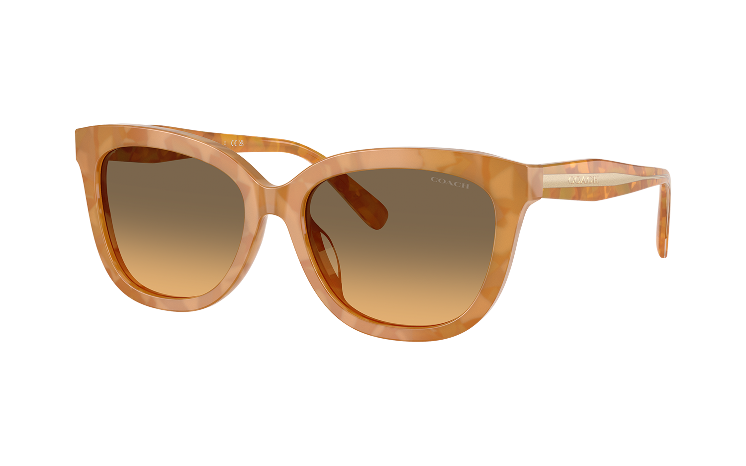 Gallery image for /media/thumbs/100x62.5/media/product_images/Coach-Sunglasses-HC8453U-593911-Afw100fh62.5.png