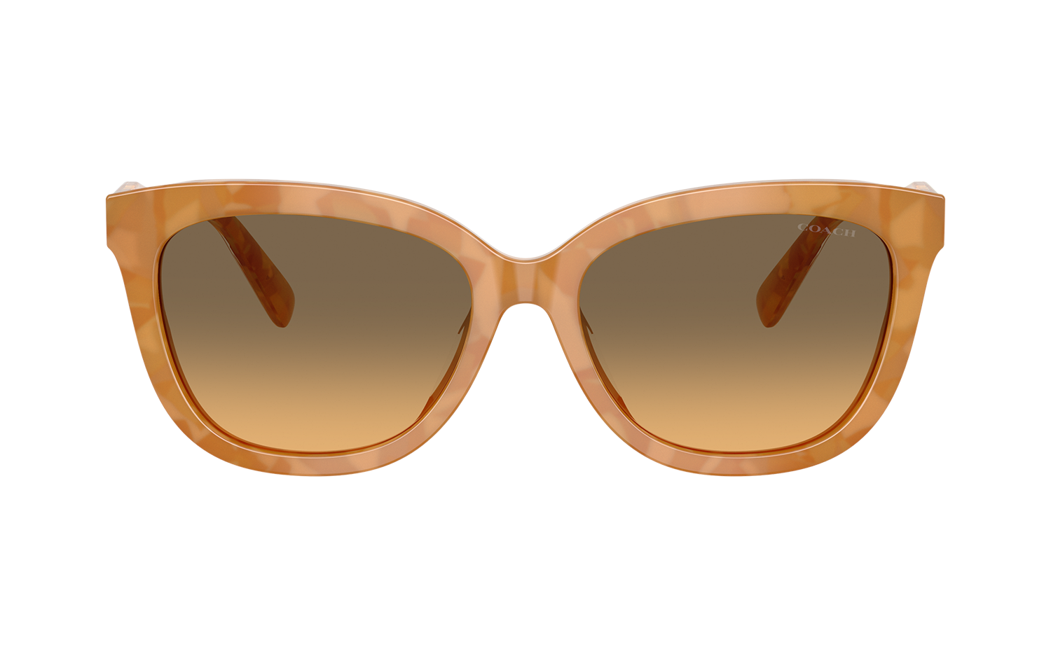 Gallery image for /media/thumbs/100x62.5/media/product_images/Coach-Sunglasses-HC8453U-593911-Bfw100fh62.5.png
