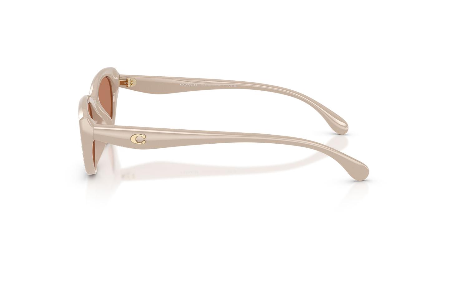 Gallery image for /media/thumbs/100x62.5/media/product_images/Coach-Sunglasses-HC8456D-58843-cfw100fh62.5.jpg