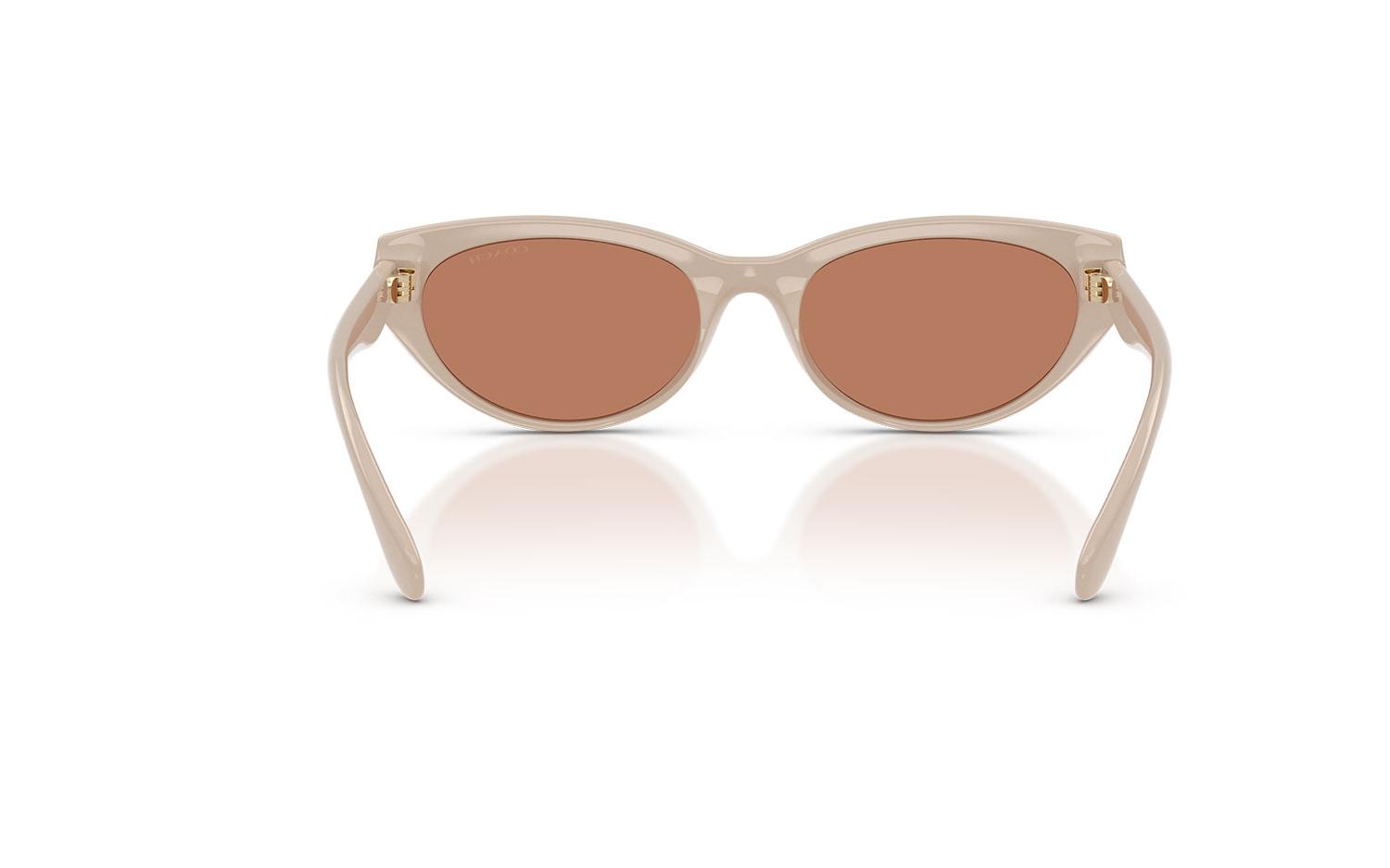 Gallery image for /media/thumbs/100x62.5/media/product_images/Coach-Sunglasses-HC8456D-58843-dfw100fh62.5.jpg