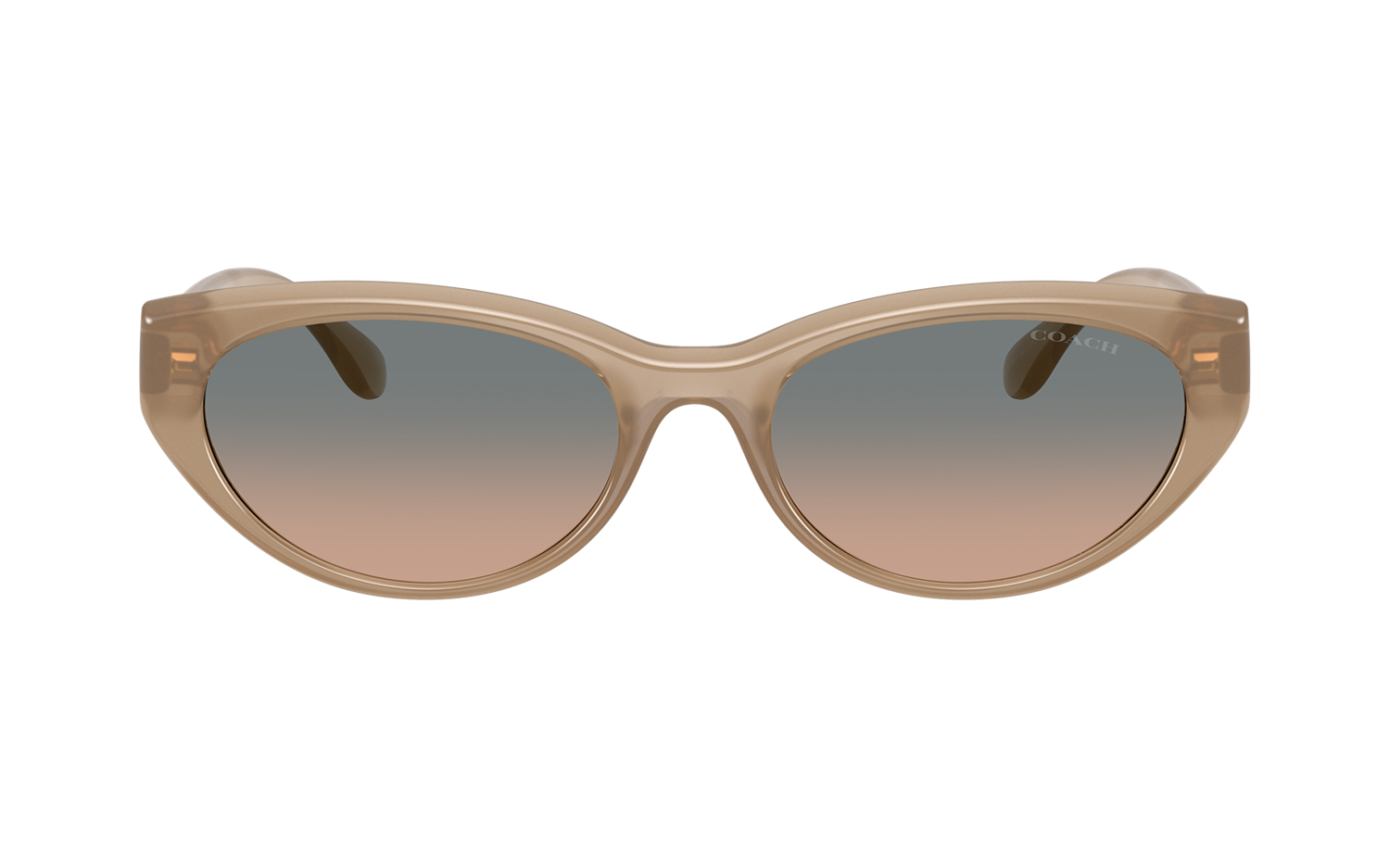 Gallery image for /media/thumbs/100x62.5/media/product_images/Coach-Sunglasses-HC8456D-594413-Bfw100fh62.5.png