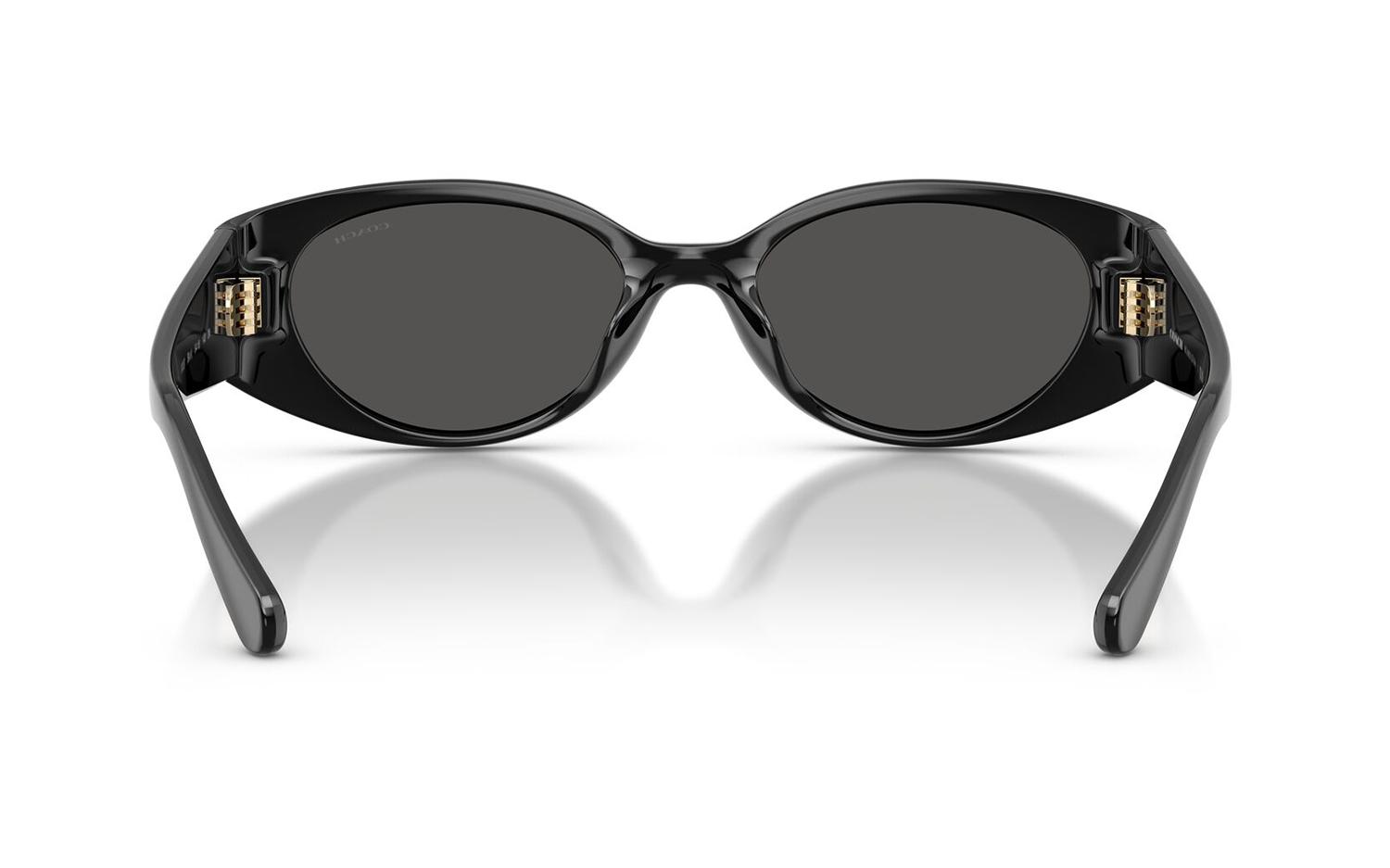 Gallery image for /media/thumbs/100x62.5/media/product_images/Coach-Sunglasses-HC8462U-500287-Dfw100fh62.5.jpg