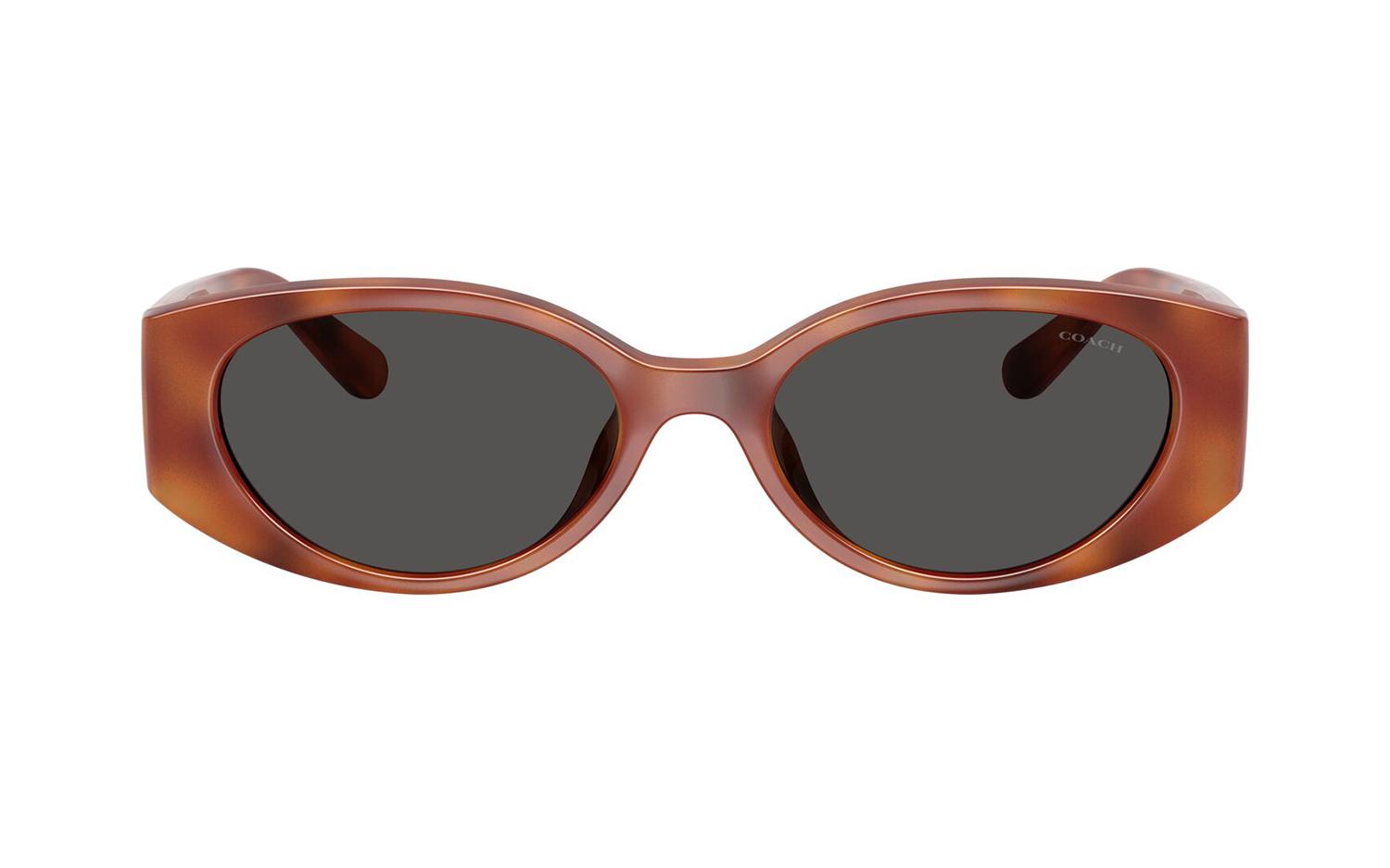Gallery image for /media/thumbs/100x62.5/media/product_images/Coach-Sunglasses-HC8462U-577487-Bfw100fh62.5.jpg