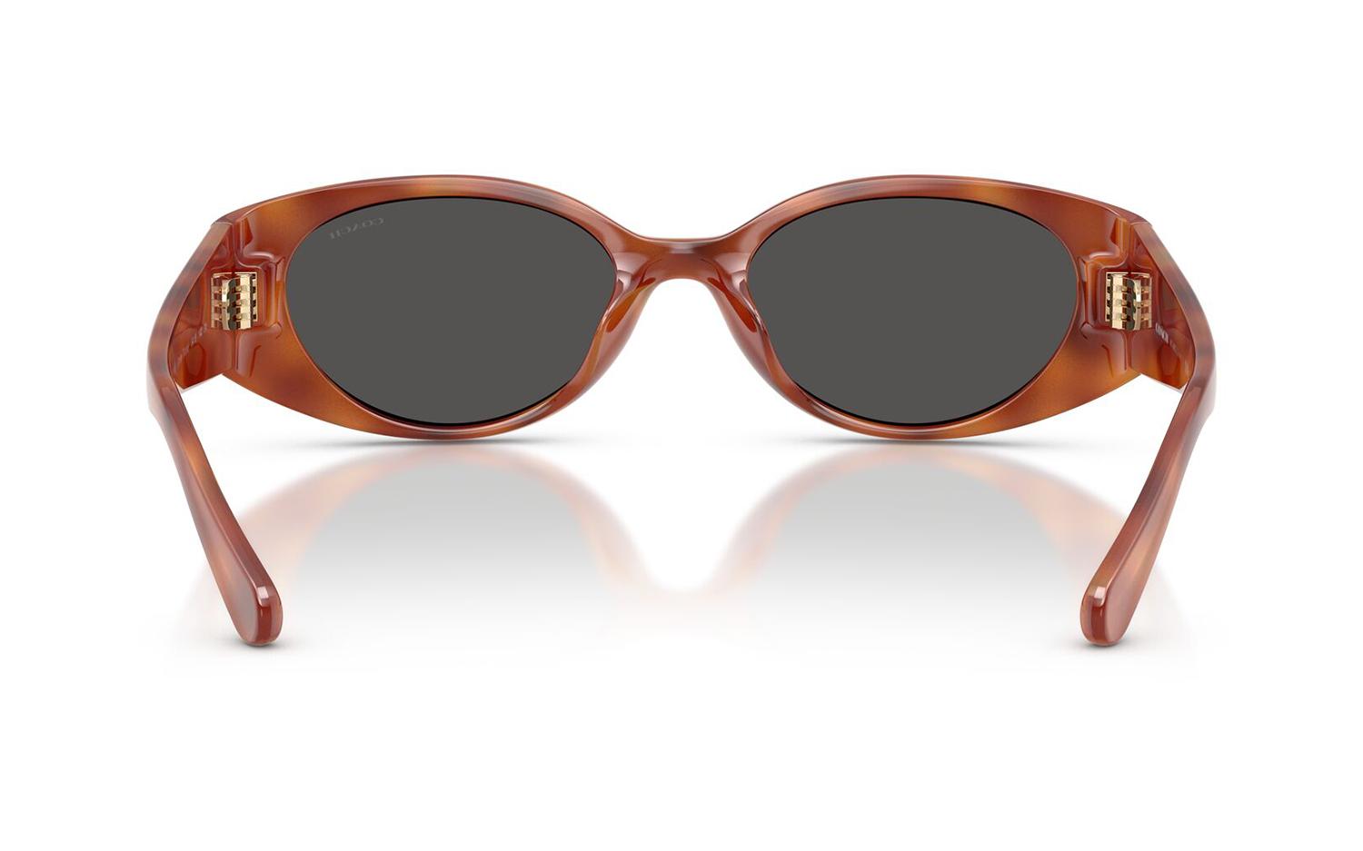 Gallery image for /media/thumbs/100x62.5/media/product_images/Coach-Sunglasses-HC8462U-577487-Dfw100fh62.5.jpg