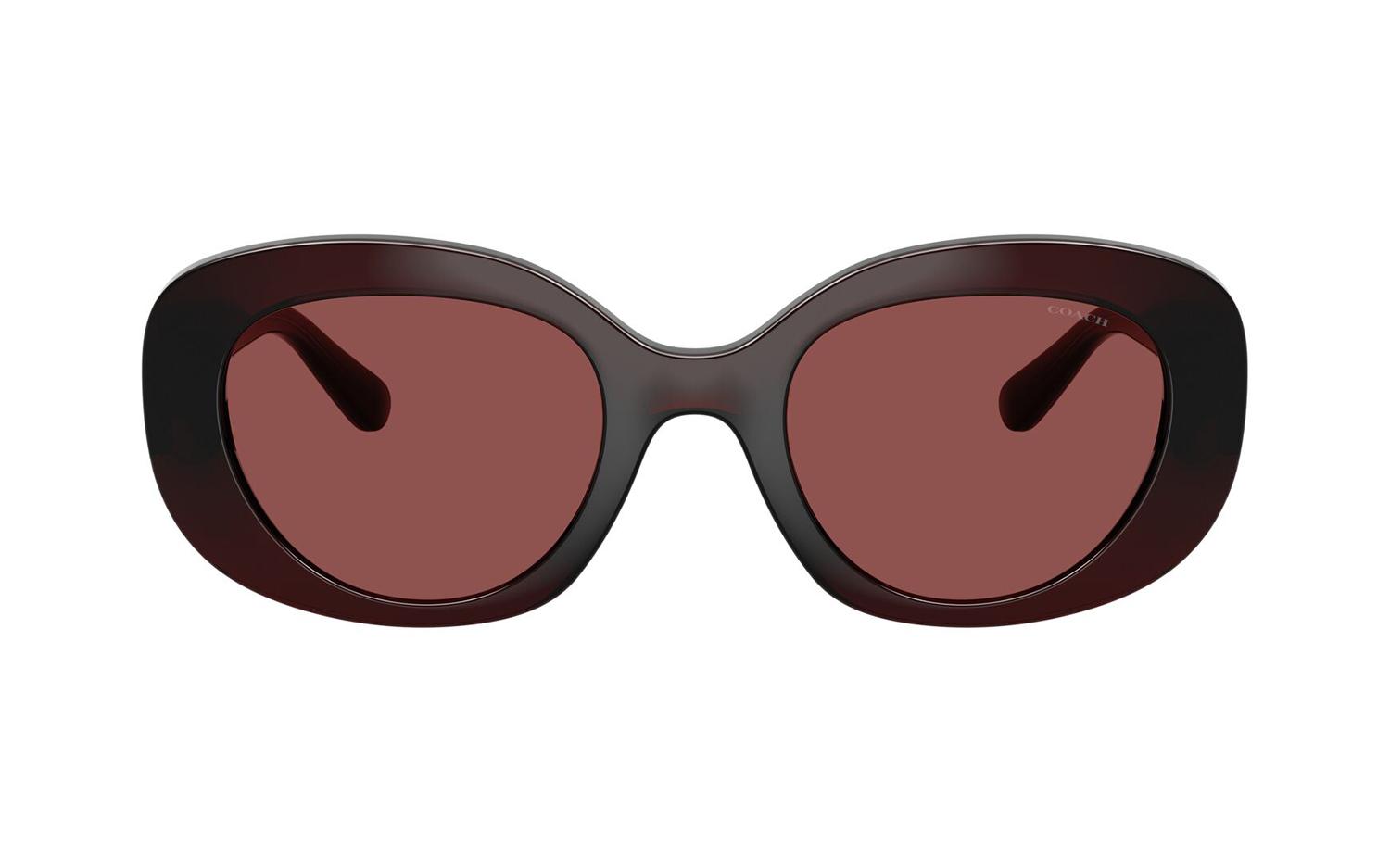 Gallery image for /media/thumbs/100x62.5/media/product_images/Coach-Sunglasses-HC8463U-596375-Bfw100fh62.5.jpg