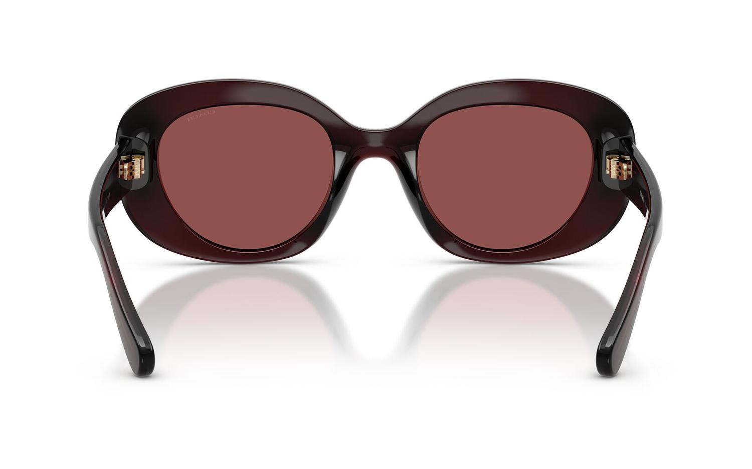 Gallery image for /media/thumbs/100x62.5/media/product_images/Coach-Sunglasses-HC8463U-596375-Dfw100fh62.5.jpg
