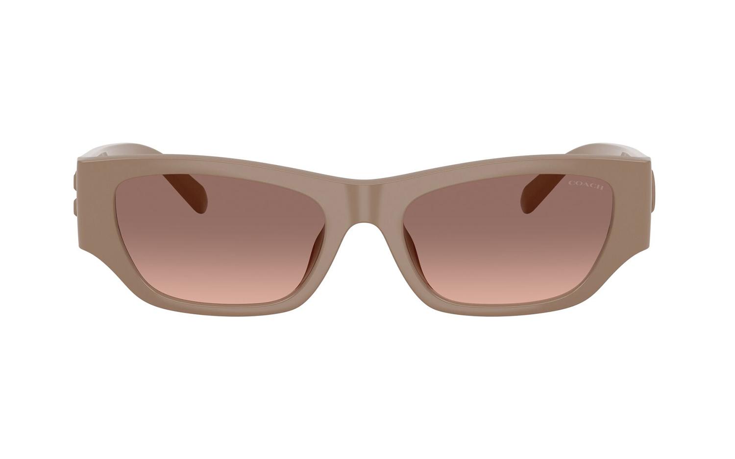 Gallery image for /media/thumbs/100x62.5/media/product_images/Coach-Sunglasses-HC847D-597513-Bfw100fh62.5.jpg