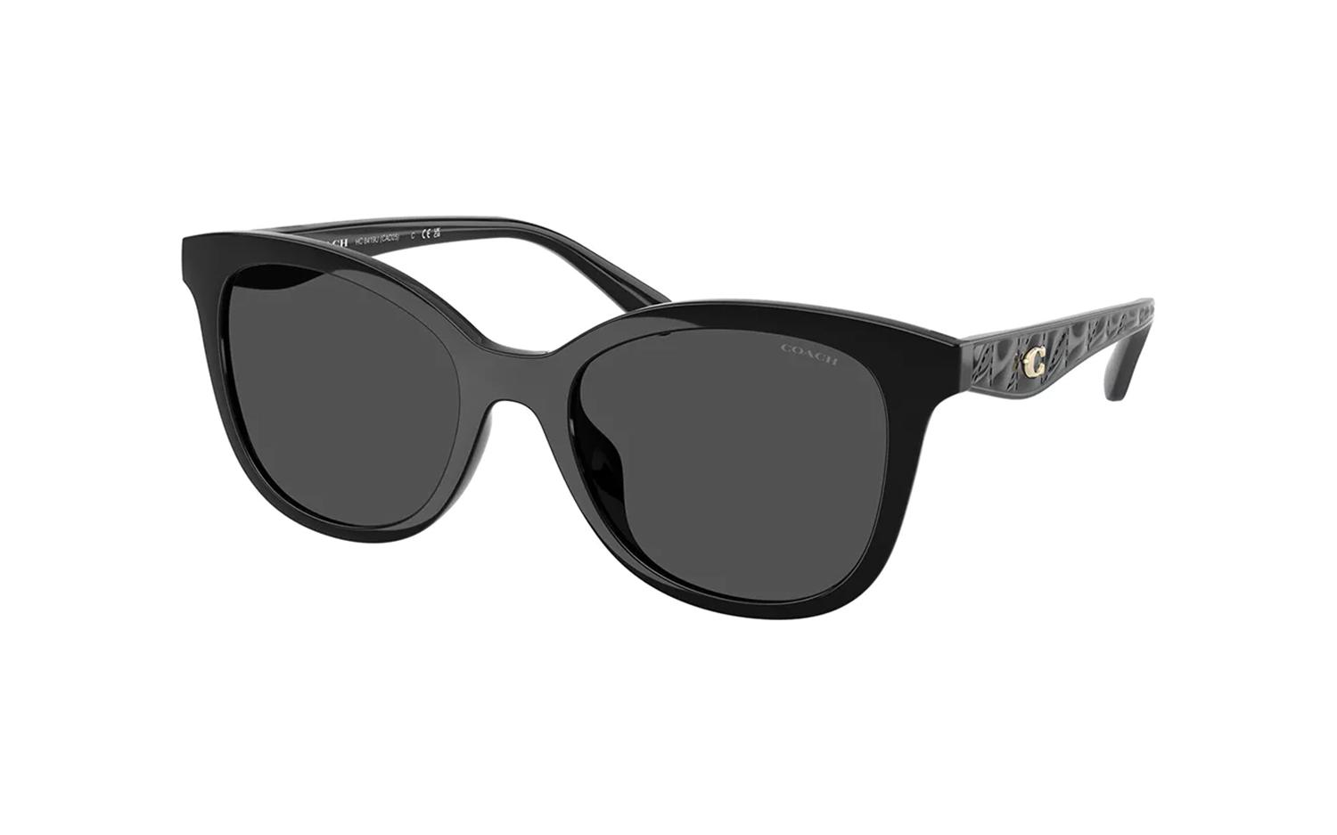 Gallery image for /media/thumbs/100x62.5/media/product_images/Coach-Sunglassses-HC8419U-500287fw100fh62.5.jpg