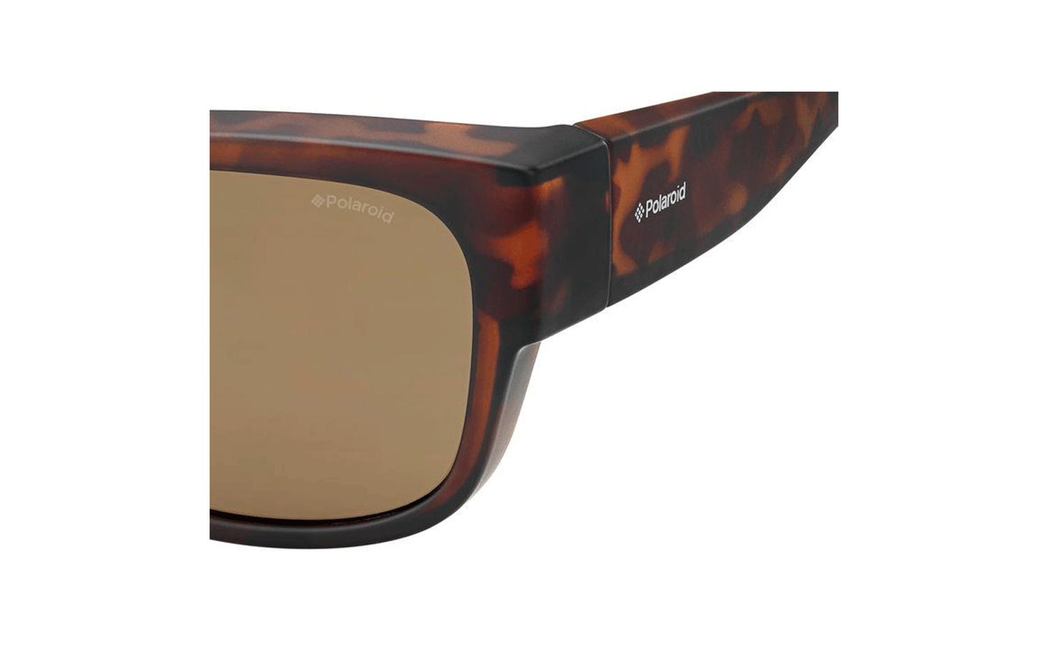 Gallery image for /media/thumbs/100x62.5/media/product_images/PLD-9003-S-MQU-IG-Sunglasses-Cfw100fh62.5.png