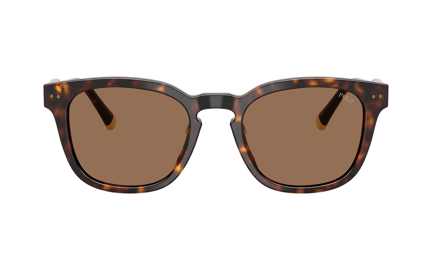 Gallery image for /media/thumbs/100x62.5/media/product_images/Polo-Ralph-Lauren-Sunglasses-PH4242U-562573-Bfw100fh62.5.png